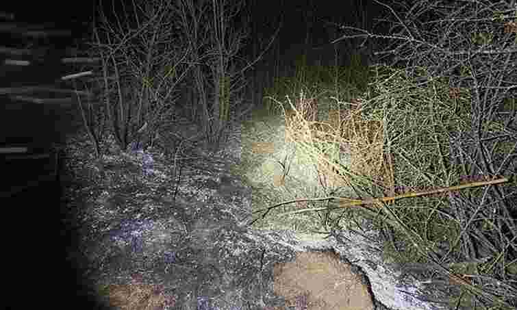 На Тернопільщині під час спалювання трави живцем згоріла 66-річна жінка