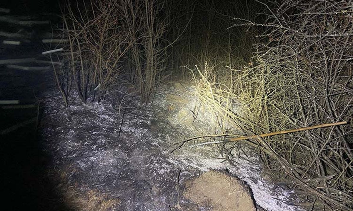 На Тернопільщині під час спалювання трави живцем згоріла 66-річна жінка