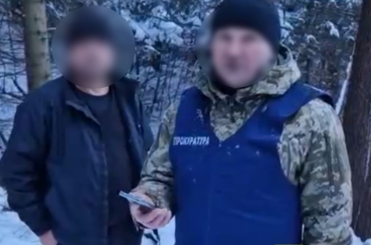 Депутат з Буковини допустив незаконну рубку лісу на суму понад 1,5 млн грн