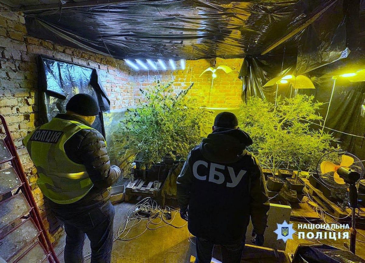 На Прикарпатті ліквідували масштабну мережу лабораторій з вирощування канабісу