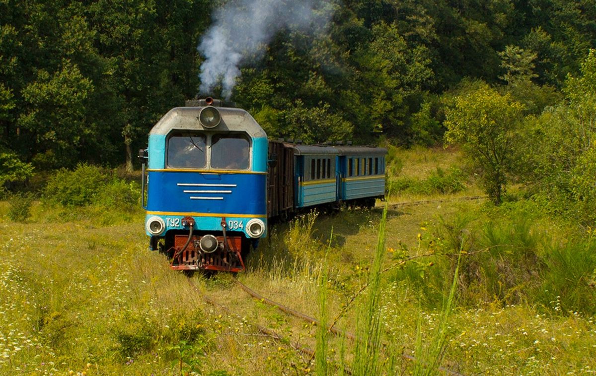 Волонтери виявили крадіжку 18 метрів колії на Боржавській залізниці