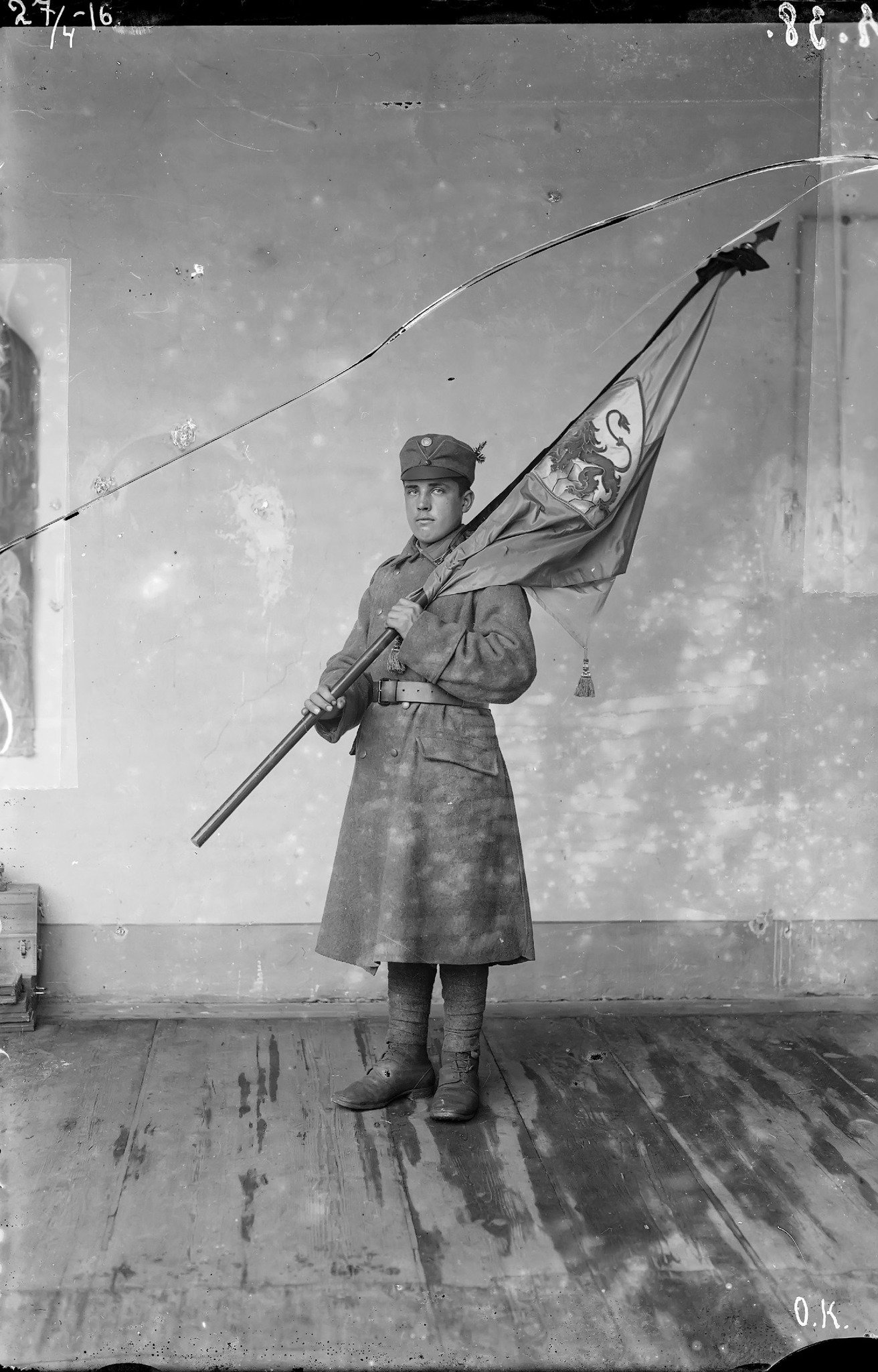 Синьо-жовтний прапор з левом