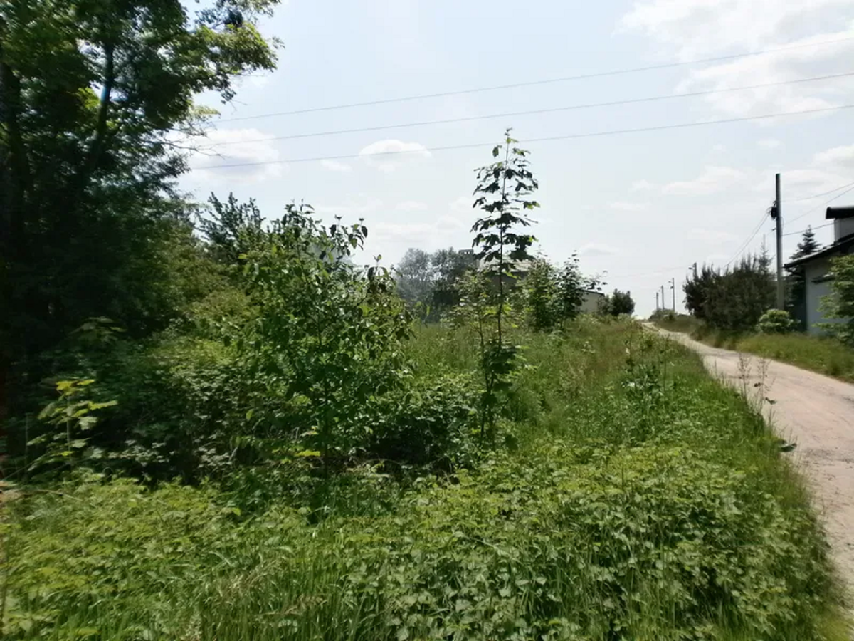 Сільрада продала землю під паркінг в Солонці майже вдесятеро дорожче стартової ціни
