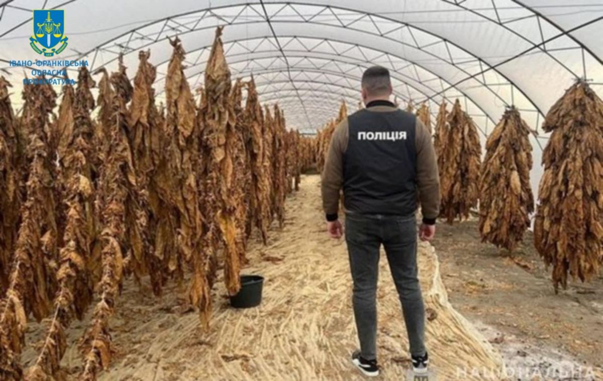 Суд призначив по 85 тис. грн штрафу прикарпатцям, які налагодили масштабне виробництво сигарет