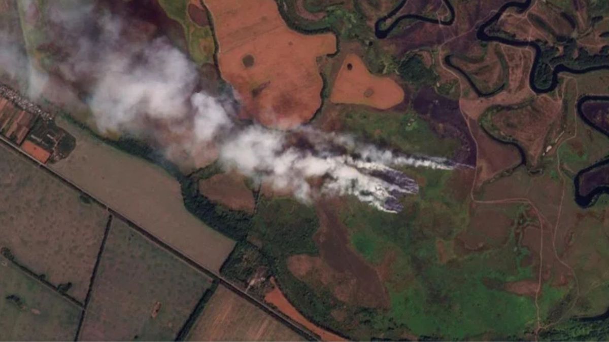 Розвідка США не фіксує оточення ЗСУ на Курщині попри заяви Трампа