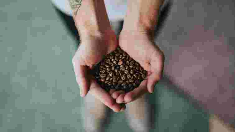 Різні не лише на смак: у чому відмінність між арабікою та робустою