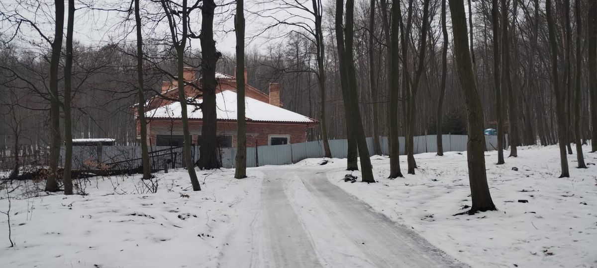 Родина Гринкевичів уникла покарання за захоплення землі у Винниківському лісі