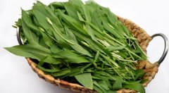 Чому черемша є вітамінною скринею для виснаженого після зими організму