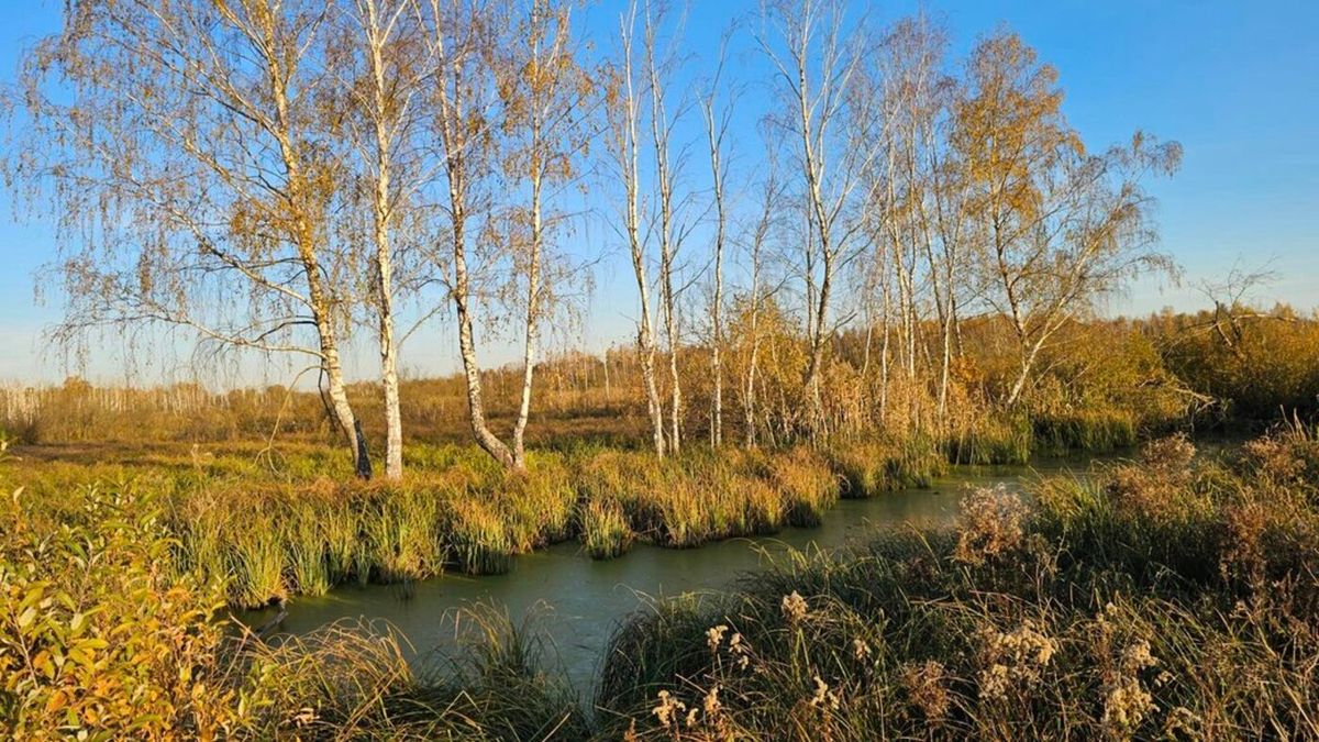 Суд повернув міськраді Львова понад 3 га заказника «Торфовище Білогорща»