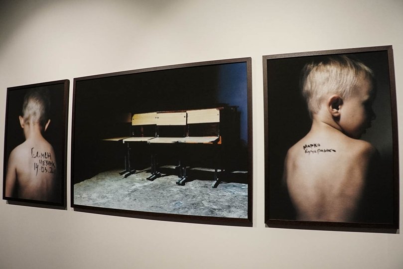 Фрагмент проєкту Дар’ї Свертілової