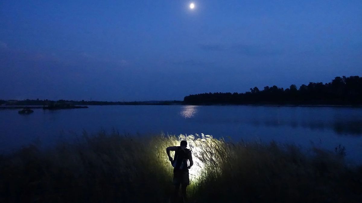 «Божественні» та інше кіно