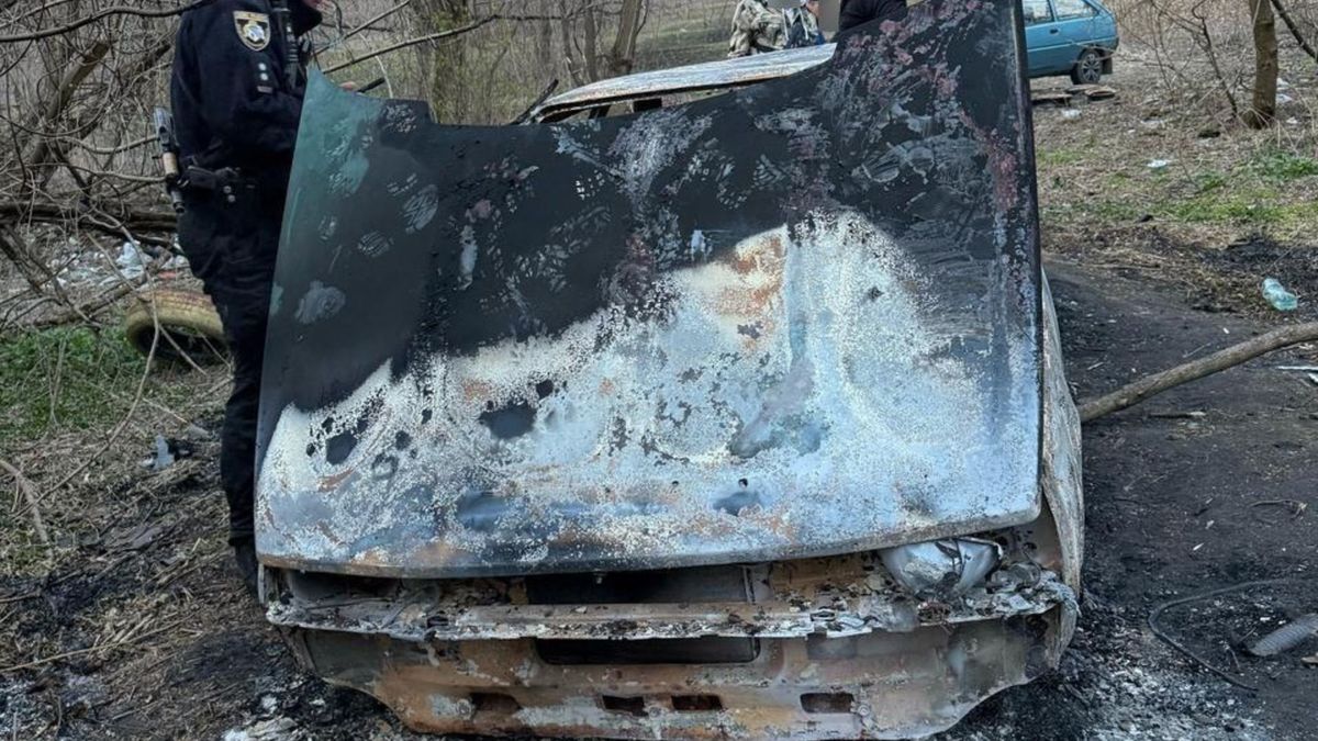 На Львівщині затримали підозрюваного у вбивстві колишнього віцемера Кам'янського Плахотніка