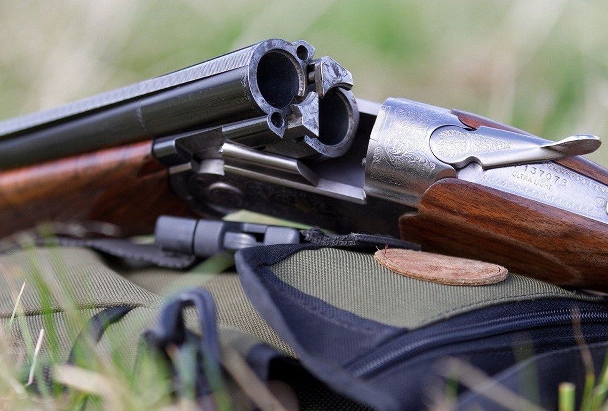 67-річний мешканець Львівщини з мисливської рушниці застрелив собаку на своєму подвір'ї 
