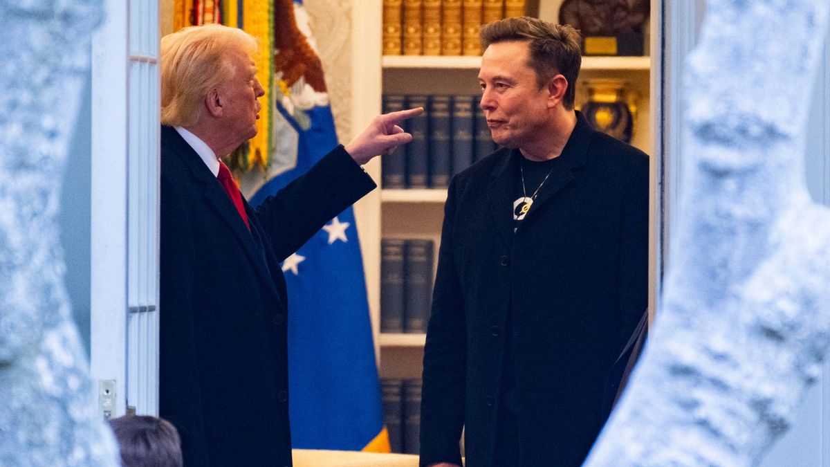 Ілон Маск особисто просив Дональда Трампа скасувати тарифи, – WP