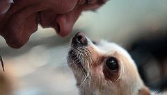 Найкращі українські документальні фільми останніх часів