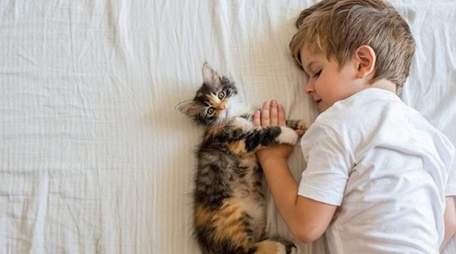 Двоє дітей з Львівщини втратили зір на одне око через подряпини кота