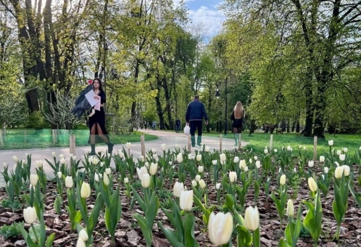У Львові другий день поспіль фіксують температурний рекорд