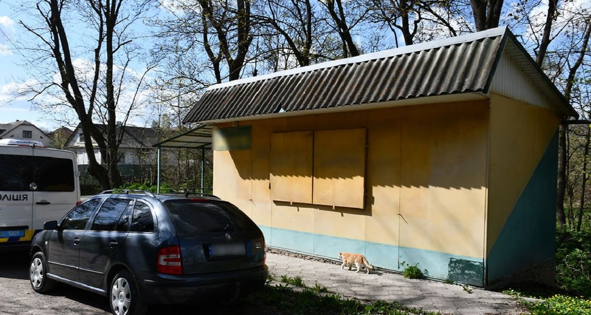 Біля закинутого магазину на Тернопільщині знайшли покинуте немовля
