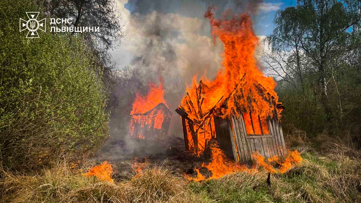 У Соснівці згоріли 9 дерев’яних дачних будинків через пожежу сухої трави