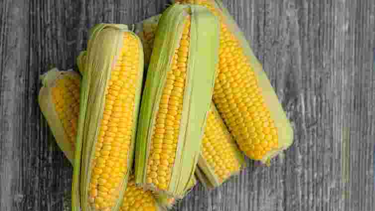 Сприятливі лише 5 днів у травні: коли садити кукурудзу для щедрого врожаю Сприятливі лише 5 днів у травні: коли садити кукурудзу для щедрого врожаю