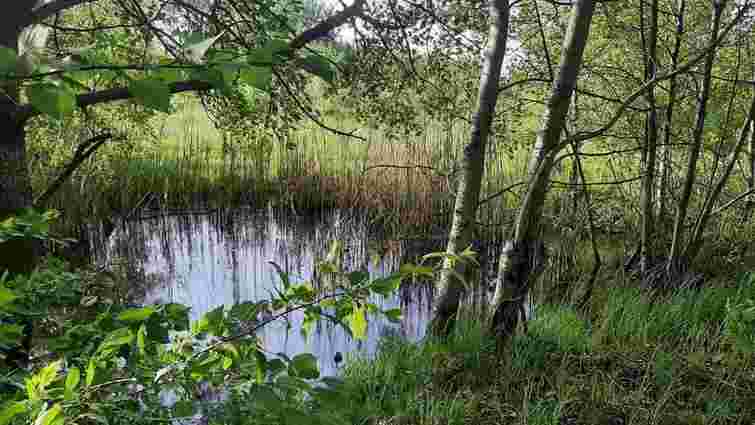 Суд повернув Львову ще частину заказника «Торфовище Білогорща»