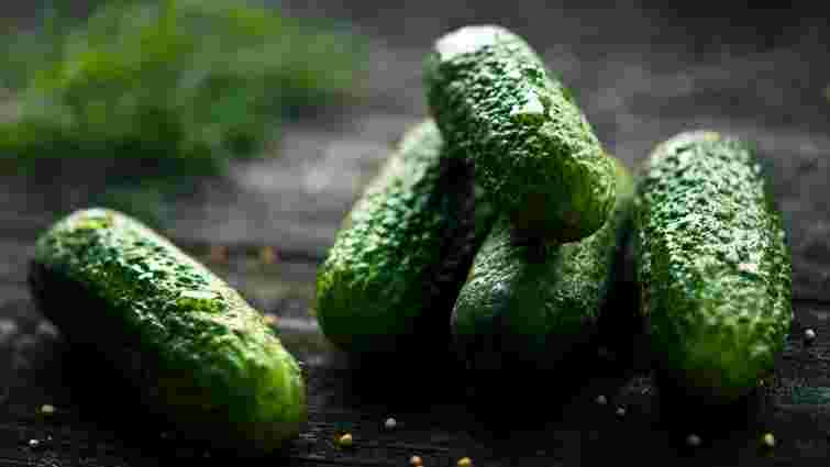 Чому огірки швидко в'януть і як цьому запобігти: корисні поради 