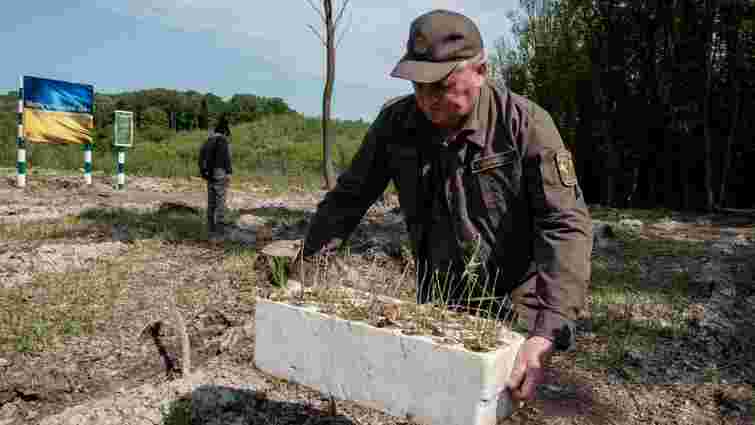 У Львівській області висадили 38 тисяч саджанців дерев