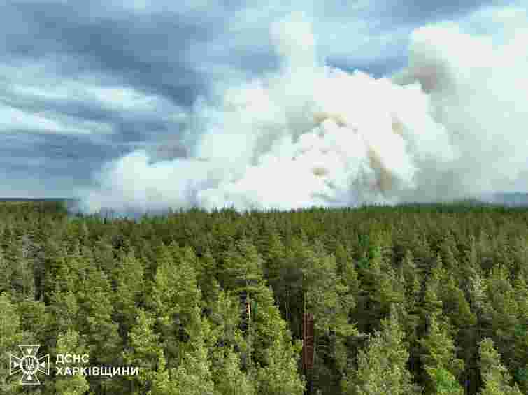 На Харківщині через масштабну лісову пожежу детонують залишені росіянами боєприпаси