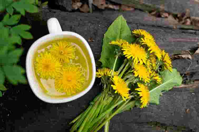 Аджика із цвіту кульбаб. Рецепт дня