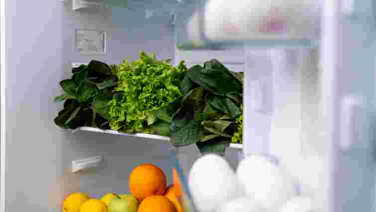 Розморожування холодильника: навіщо це робити та як не зіпсувати техніку 
