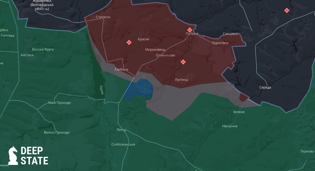 Територія звільненого від росіян лісового масиву на північ від Липців