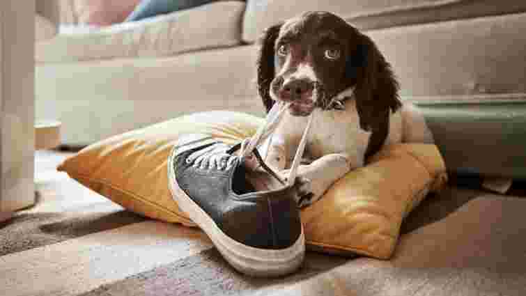 Як коректно замінити вислів «мати місце»: поради мовознавців