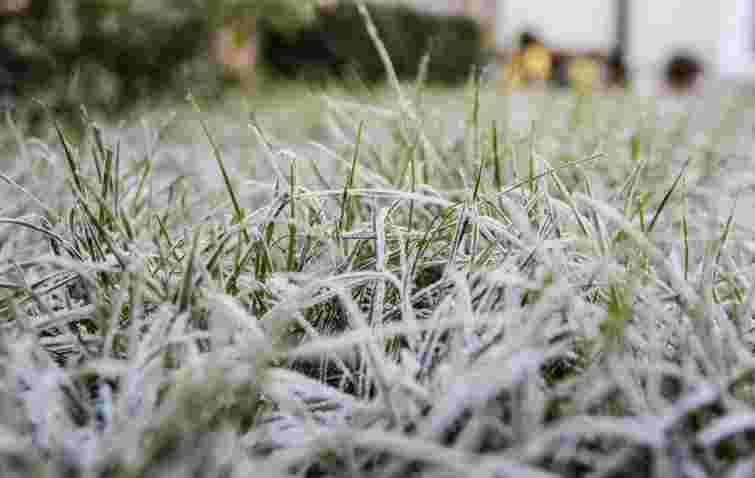 Синоптики попередили про сильні заморозки на Прикарпатті