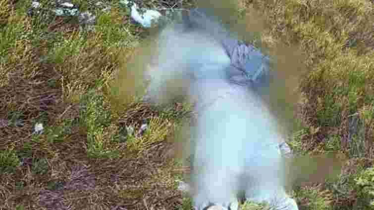 Біля підніжжя гори Піп Іван прикордонники знайшли тіло чоловіка