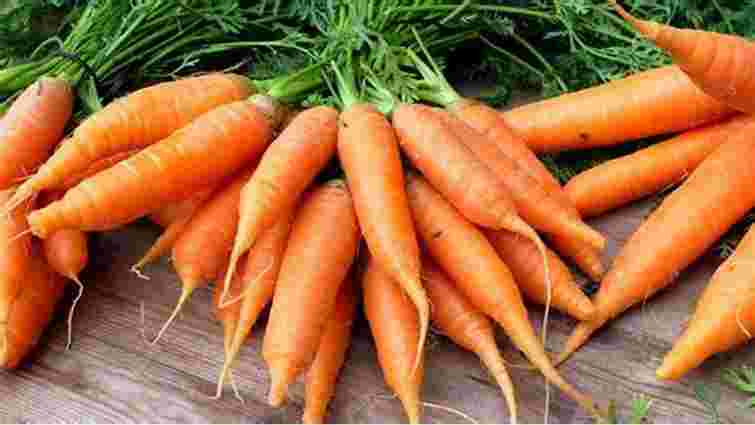 Найкраще весняне добриво: як забезпечити якісний ріст і солодкість моркви