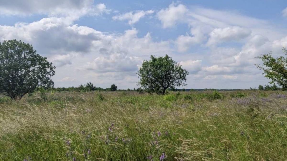 Суд повернув львівській громаді ще майже 3 га заказника «Торфовище Білогорща» 
