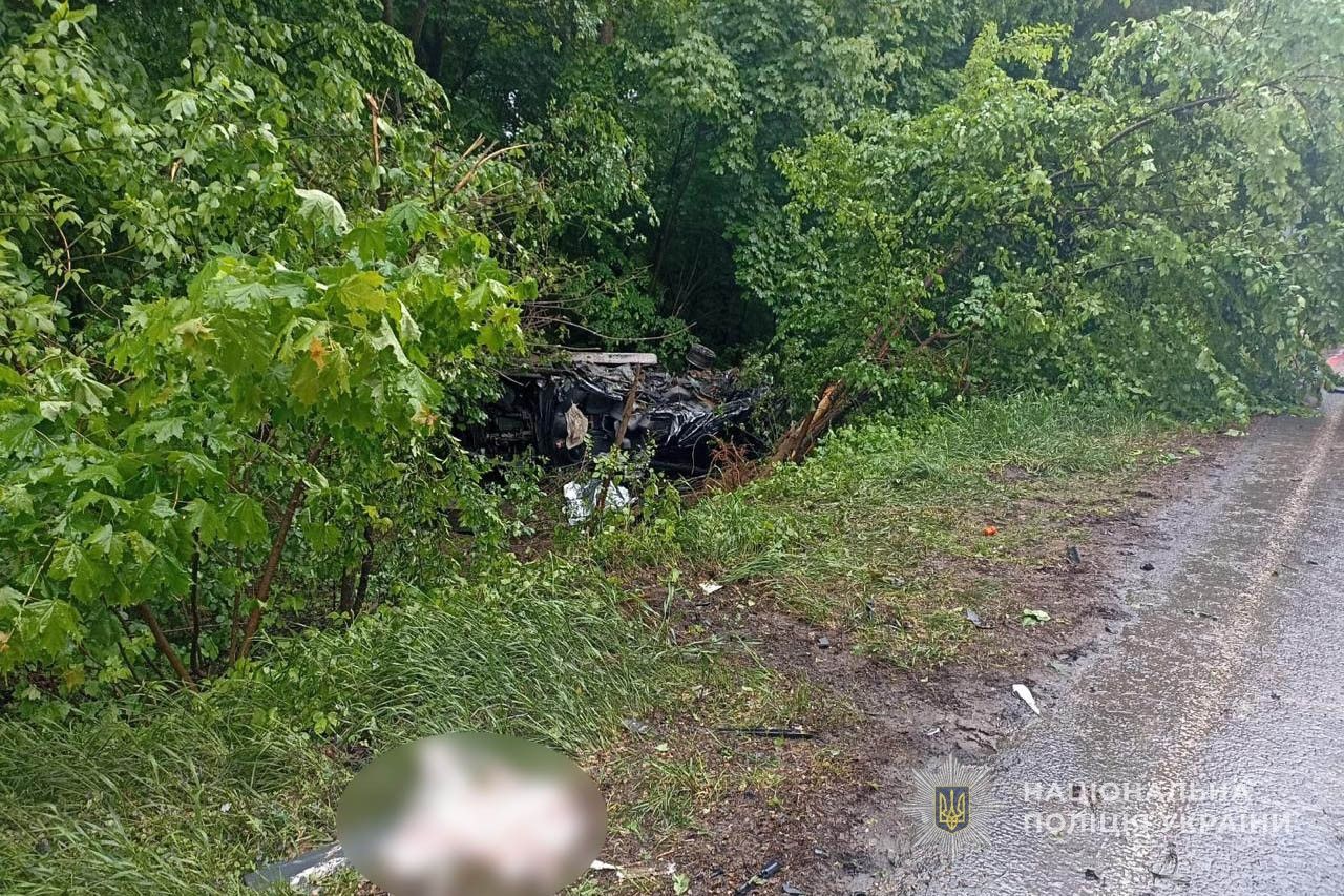 Позашляховик Toyota Land Cruiser злетів з дороги