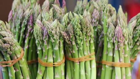 Спаржа: чим багата і кому корисна