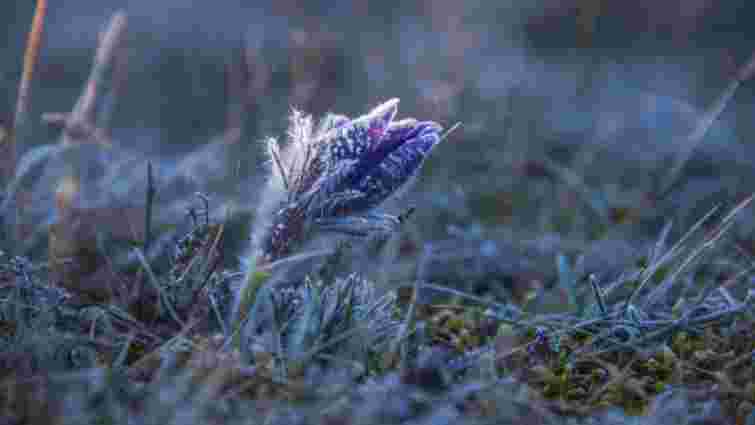 Синоптики попередили про сильні заморозки на Львівщині