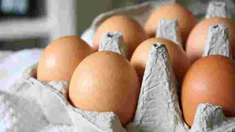 Не псуватимуться місяцями: як зберігати яйця, щоб вони були свіжими якомога довше