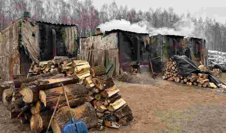 Мешканець Хмельниччини отримав вирок за нелегальне виробництво деревного вугілля