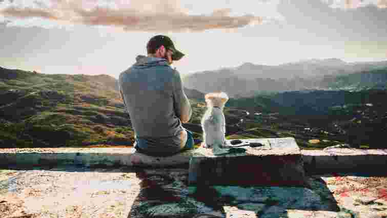 Розслаблений і задоволений: 6 ознак того, що ваш собака вам довіряє