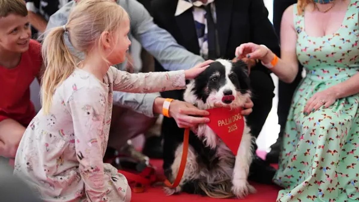 У Каннах найкращим собакам-акторам вручили Palme Dog
