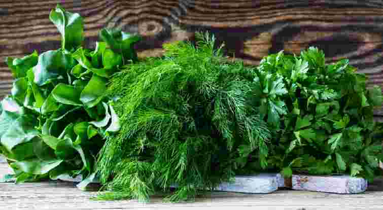 Зелень і сезонні овочі – найкращі ліки літа