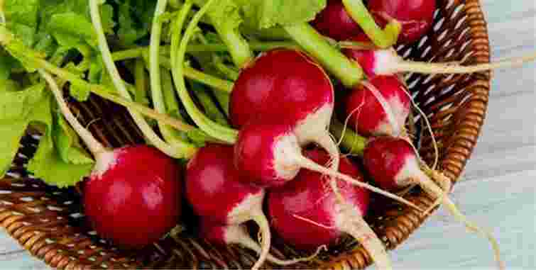 Що зробити, щоб редиска не гірчила: 4 кроки до смачного врожаю