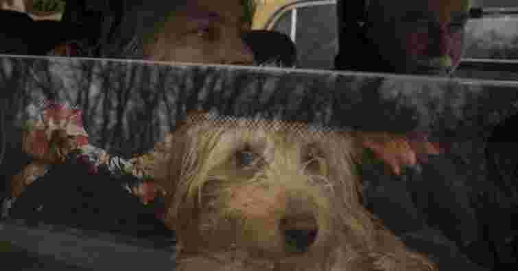 На Сумщині оголосили обов'язкову евакуацію із ще 11 населених пунктів