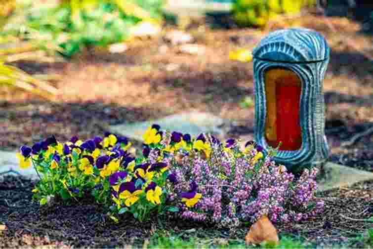 Забудьте про ці квіти: які рослини не варто висаджувати на кладовищі