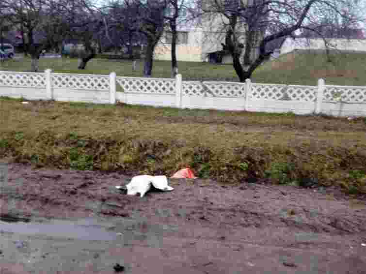 Суд закрив справу проти винуватця смертельної ДТП у Нововолинську