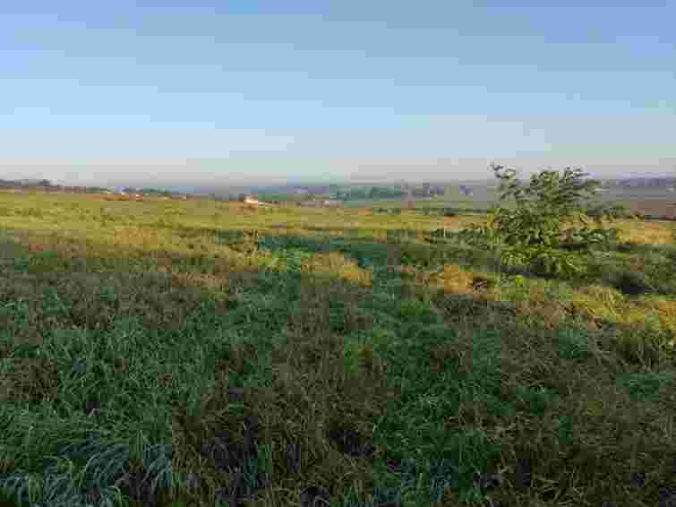 Львівська міська рада продала вісім ділянок у Гряді за 18,2 млн грн