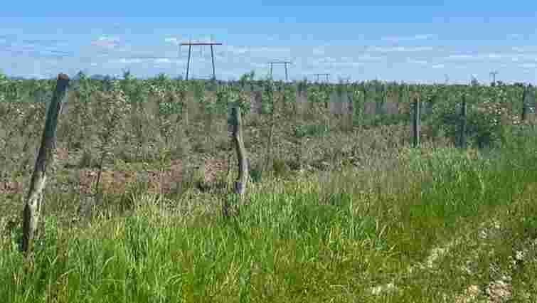 Підприємці у змові з посадовцями Мінагрополітики привласнили 80 млн грн з грантів на садівництво